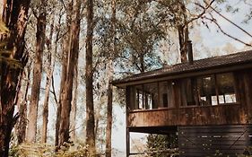 Forest Retreat